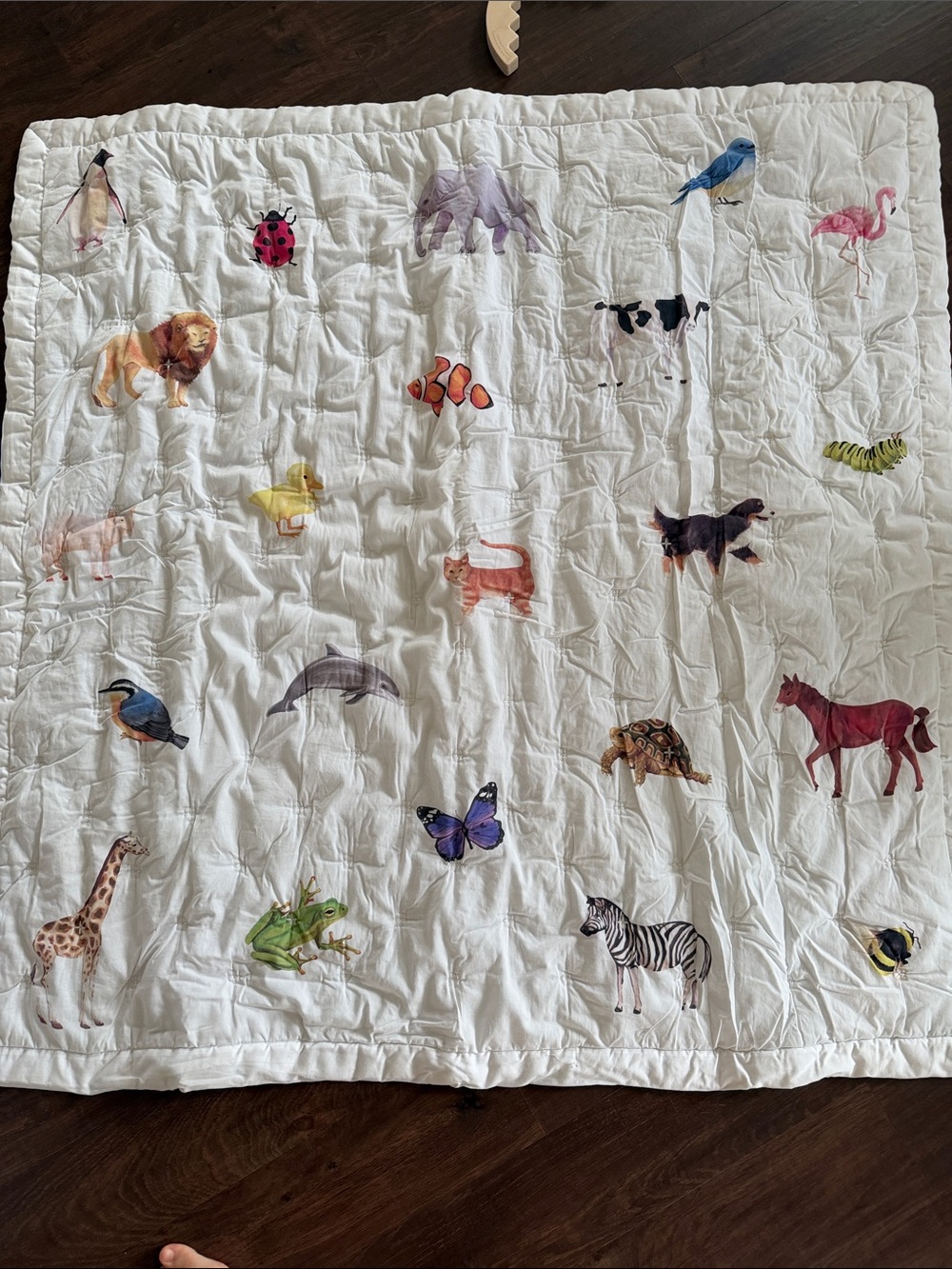 Kids Animal Learning Play Mat - White with Colorful Animal Prints